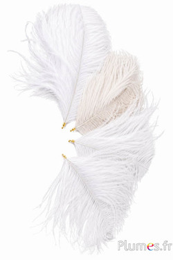 Anhänger Straußenkopf - 17-20 cm - weiß-creme
